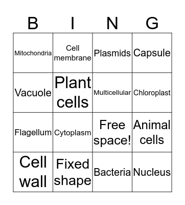 Types of Cells Bingo Card