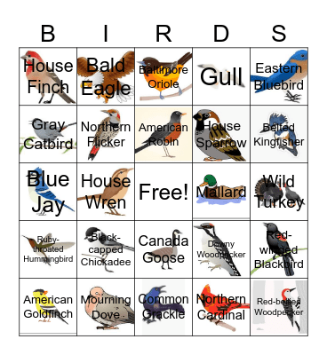 Bird Bingo Card