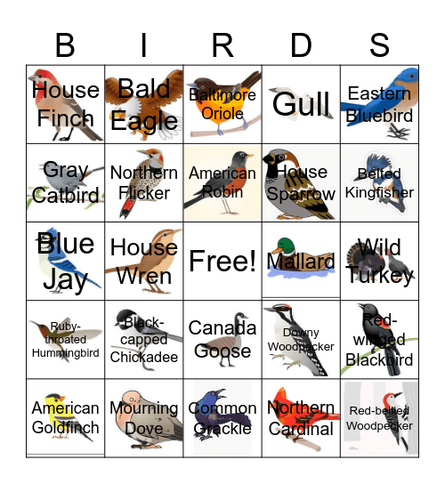 Bird Bingo Card