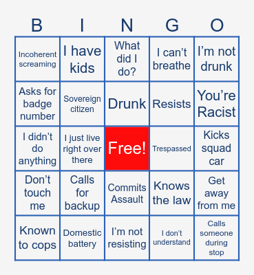 Police Cam Bingo Card