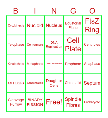 Cell Division Bingo Card