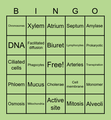 Biology IGCSE terms Bingo Card
