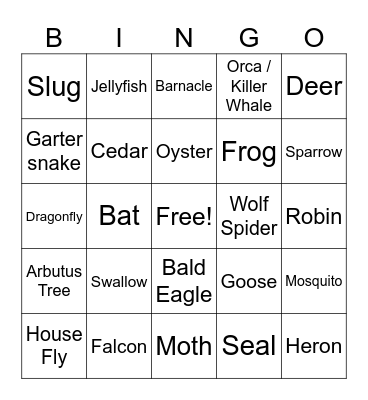 Thetis Island Wildlife Bingo Card