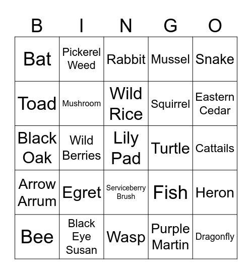 Kingman Heritage Island - DC Bingo Card