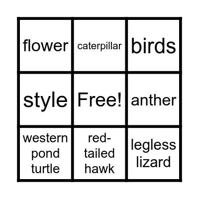 Into the Wild Summer Wilderness Camp Bingo Card