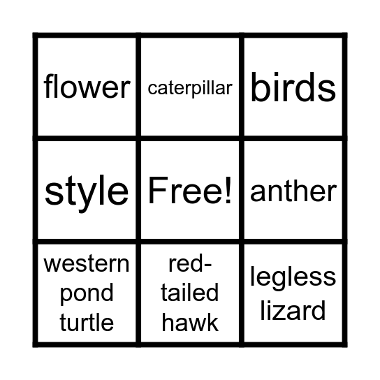 Into the Wild Summer Wilderness Camp Bingo Card