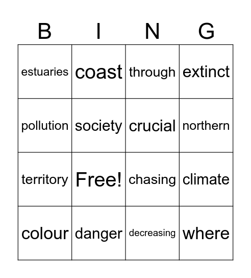 Morrisey Bingo Card