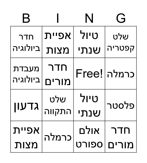 החדר של גדעון Bingo Card