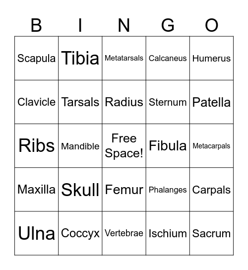 Bone Bingo! Bingo Card