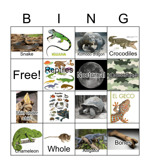 Reptile Bingo Card