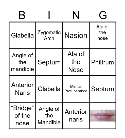 Landmarks of the Face and Oral Cavity Bingo Card