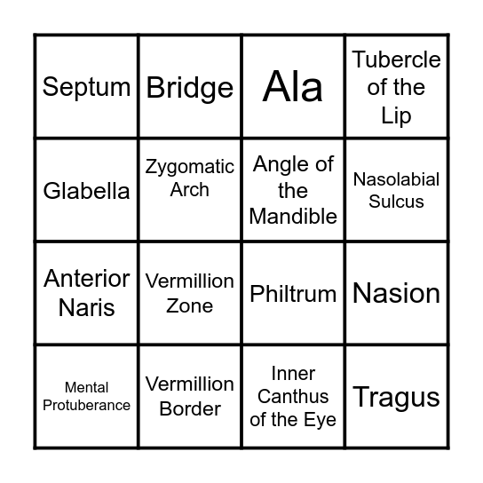 Landmarks of the Face Bingo Card