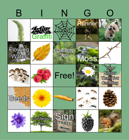 Forest Park Bingo! Bingo Card