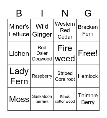 Cedar Hemlock Forest Plant BINGO Card