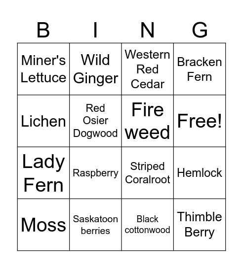 Cedar Hemlock Forest Plant BINGO Card