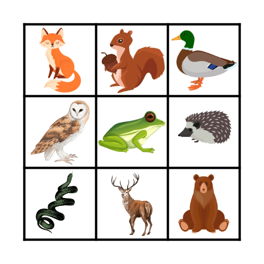 Forest animals Bingo Card