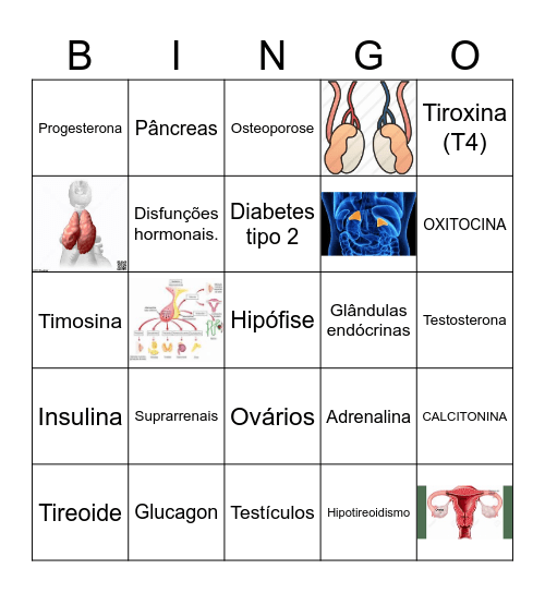 SISTEMA ENDÓCRINO Bingo Card