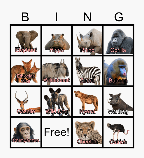 Safari Bingo Card