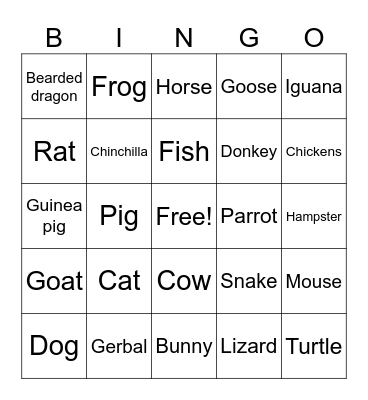 Pets Bingo Card