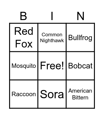 Night Sounds on Horicon Marsh Bingo Card