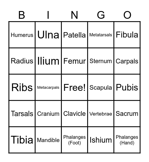 Bones Bingo Card