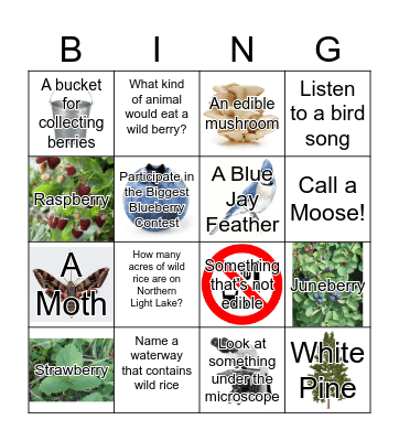 Wild Edibles Bingo Card