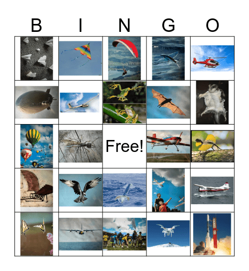 Flight Bingo Card