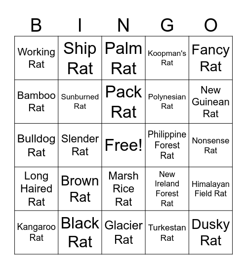 Rat Bingo Card