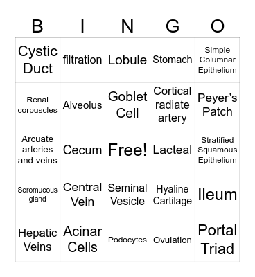 A&P II Lab Final Exam Bingo Card