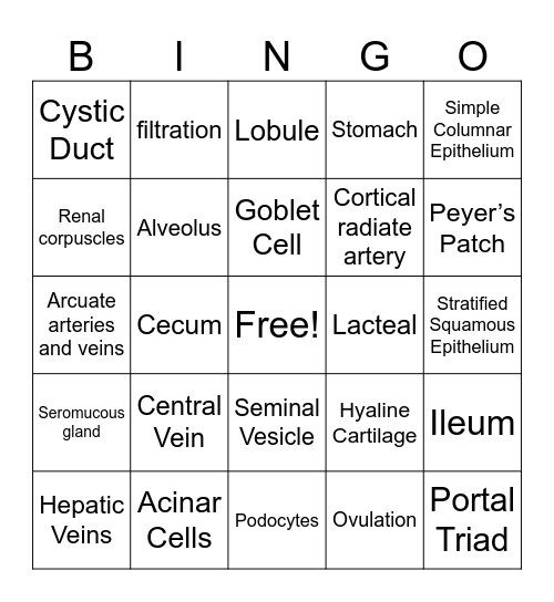 A&P II Lab Final Exam Bingo Card