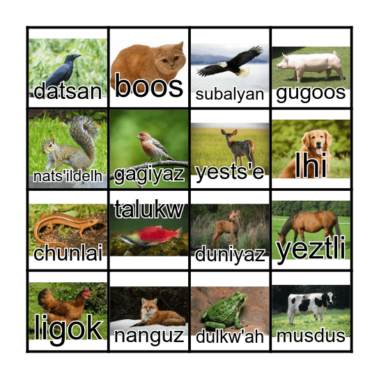 Dakelh Animal Bingo Card