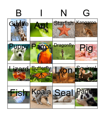 Animals with pictures Bingo Card