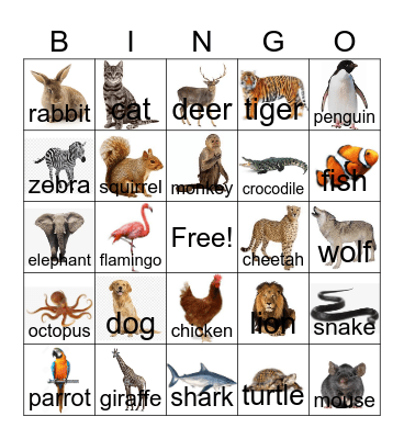 Animals Bingo Card