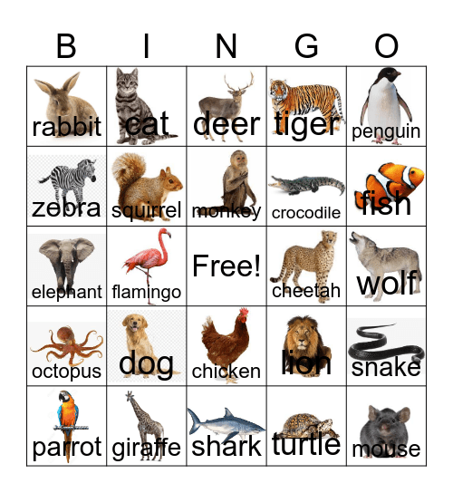 Animals Bingo Card