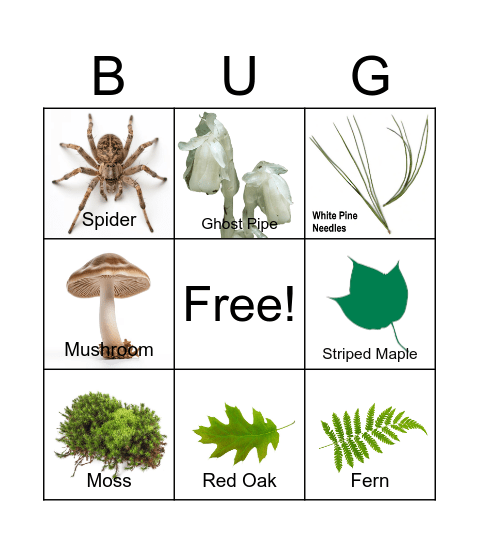 Forest Bingo Card