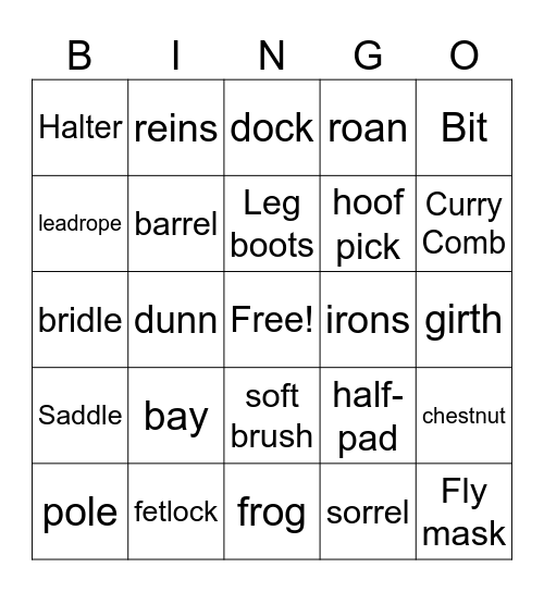 Horse Items Bingo Card