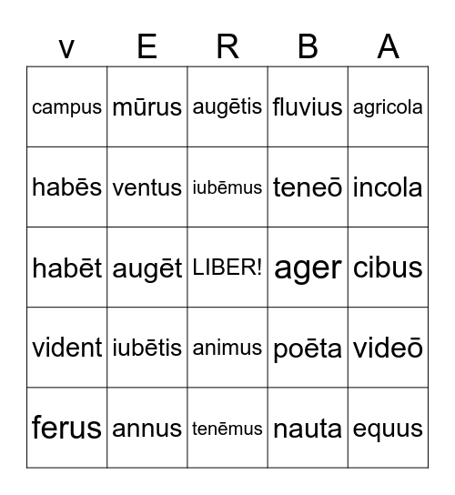 Beginning Latin Set 6 Bingo Card