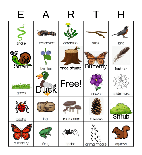 Nature Bingo Card