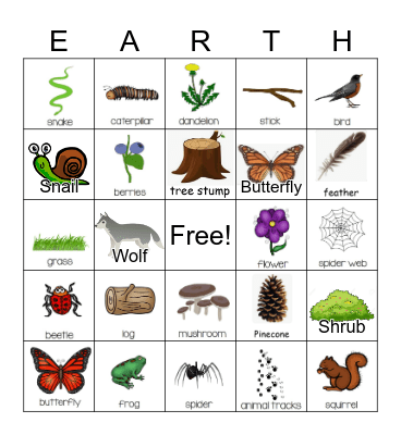 Nature Bingo Card