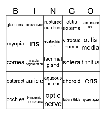Sensory System Bingo Card