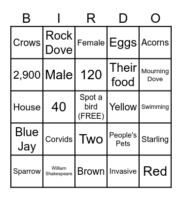 Bird Bingo! Bingo Card