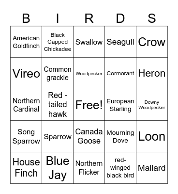 Birds Bingo Card