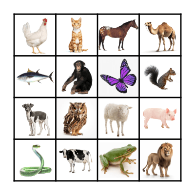Animal Bingo Card