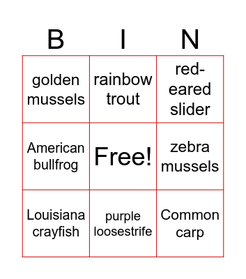 Invasive Species Bingo Card