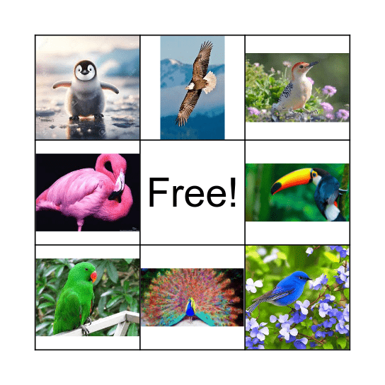 Birds Bingo Card