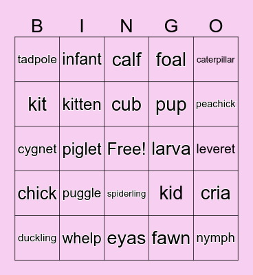 Baby Animal Bingo! Bingo Card
