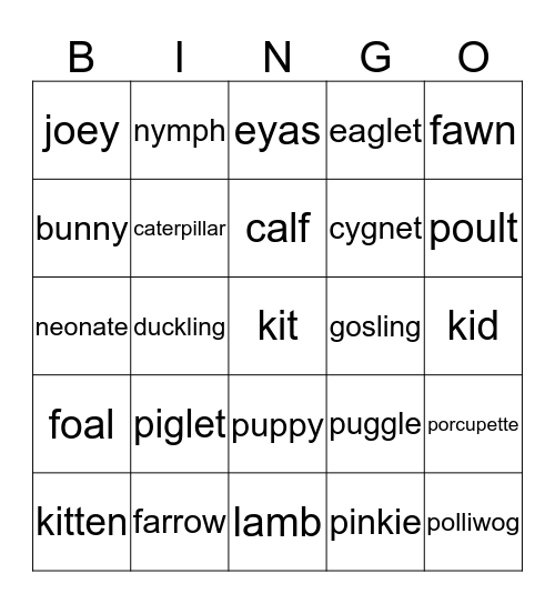 Baby Animal Bingo Card