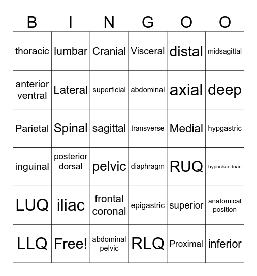 Ch. 5 Intro to A&P (Anatomical Terms) Bingo Card