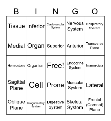 Unit 1 Review Bingo Card