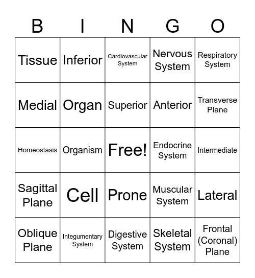 Unit 1 Review Bingo Card